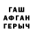 ГАШ гашик PRO ZXV