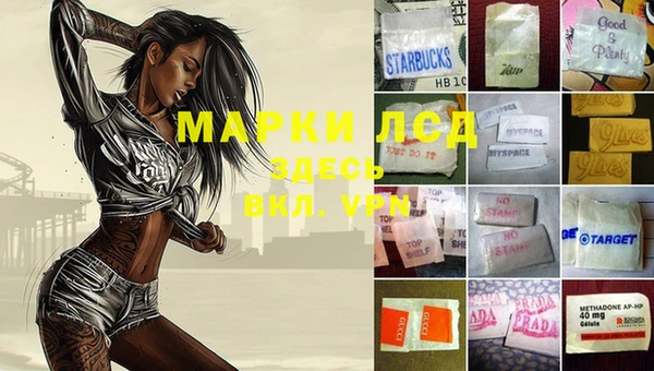 мет Алексин