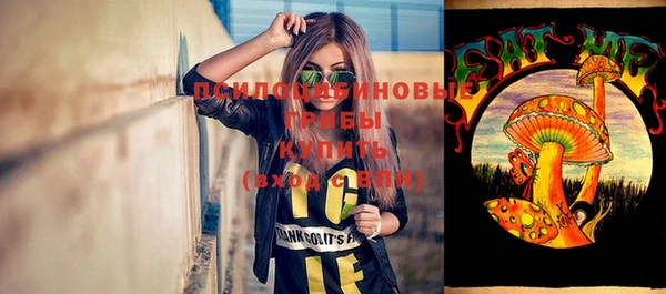 мет Алексин