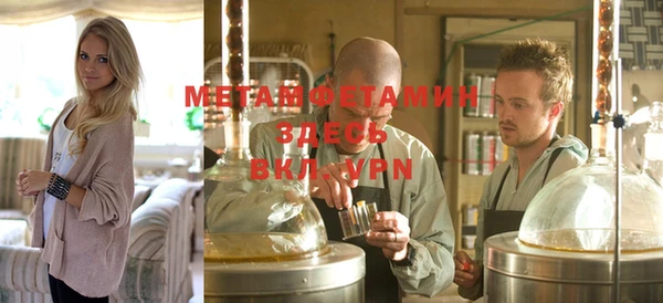 мет Алексин