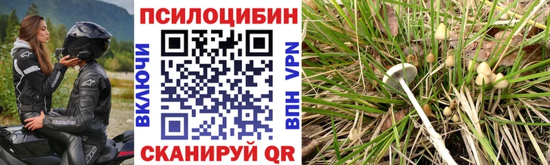 Галлюциногенные грибы мицелий  Жигулёвск 